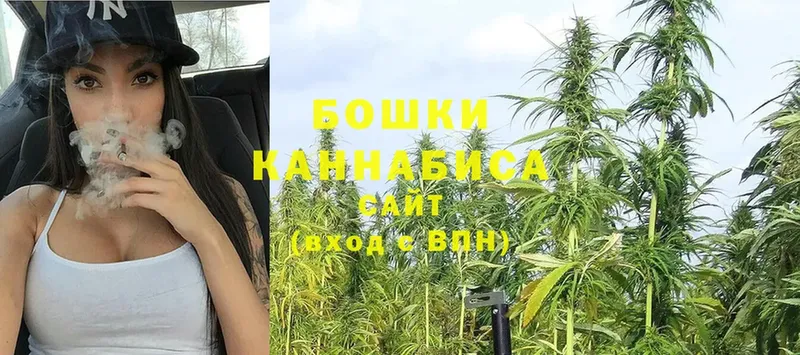 Бошки Шишки Ganja  где купить наркоту  Нолинск 